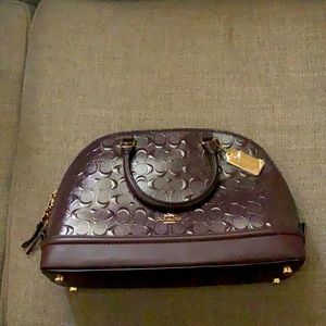 Deep Purple Coach Bag